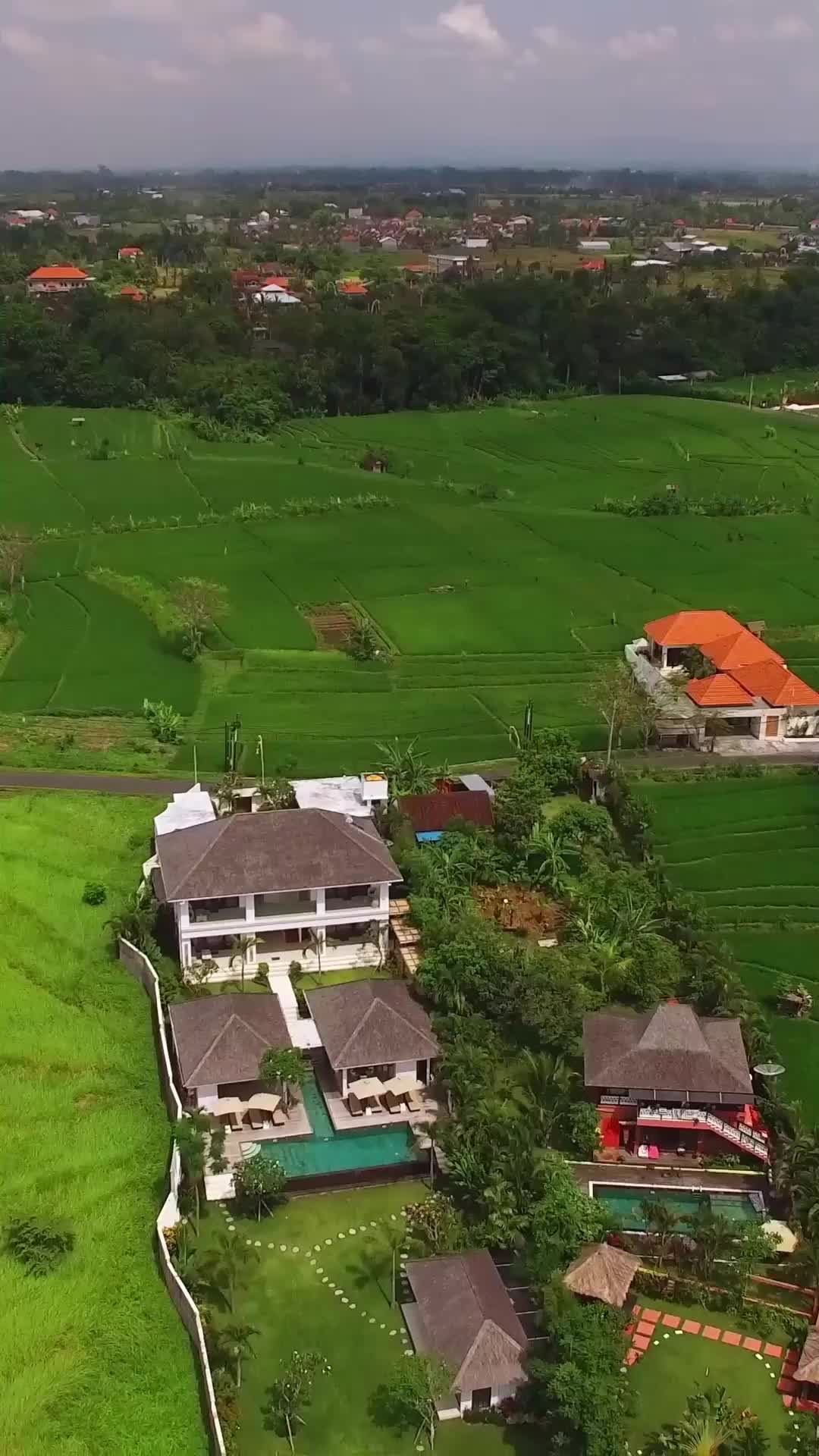 第53集